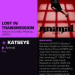 KATSEYE Animal Lyrics Meaning Explained - Stay Free Radio