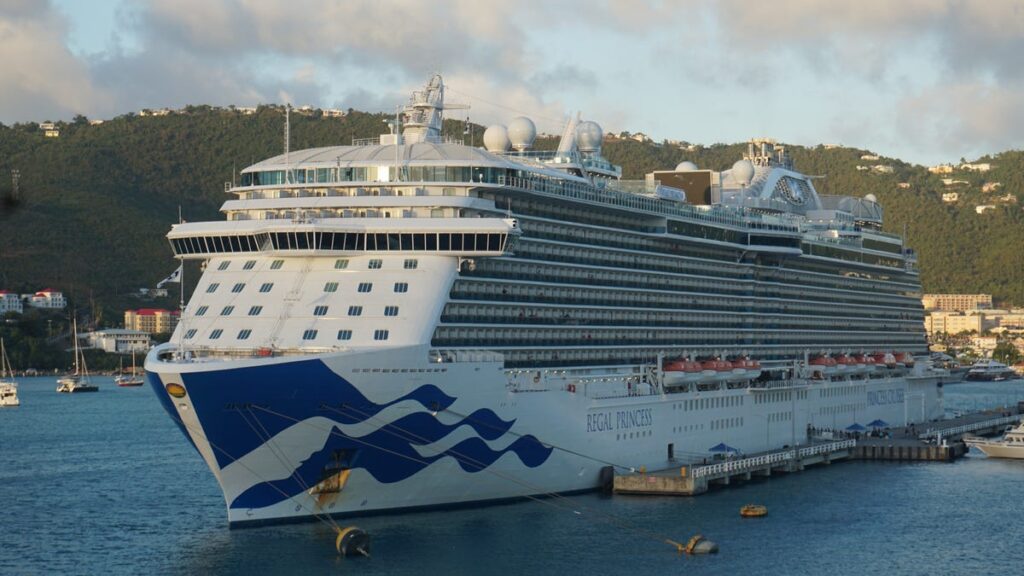 Search underway for missing cruise line employee off coast of Mexico - The Palm Beach Post