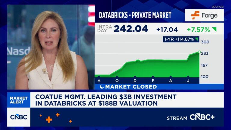 Coatue Management leading $3B investment in Databricks at $188B valuation - CNBC
