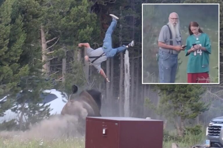 Heroic grandpa lured bison away from grandson before it tossed him 8-feet into air at Yellowstone, photographer reveals - New York Post