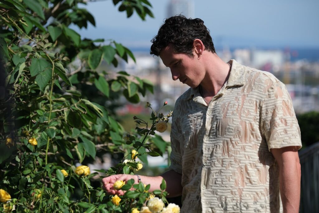 Rosebush Pruning, an eat-the-rich satire that makes Saltburn look tame - dazeddigital.com