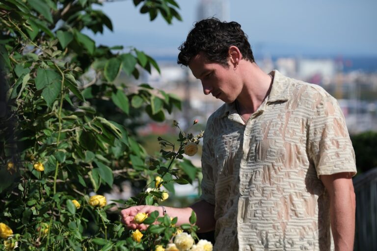 Rosebush Pruning, an eat-the-rich satire that makes Saltburn look tame - dazeddigital.com