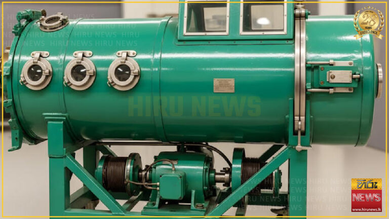 Martha Lillard, last American to use iron lung, dies at 78 - Hiru News
