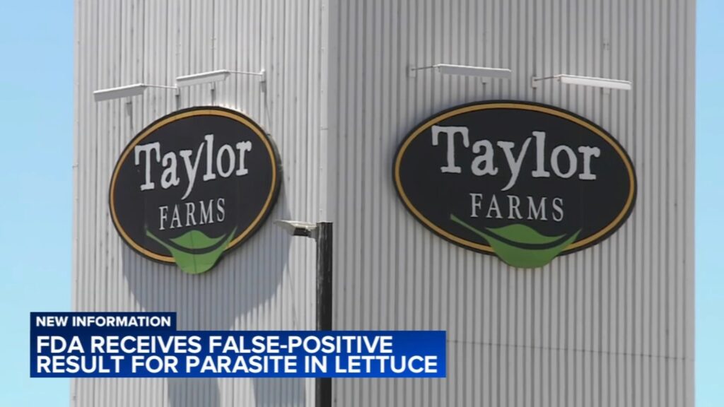 FDA receives false-positive result for parasite in lettuce amid cyclosporiasis outbreak - 6abc Philadelphia