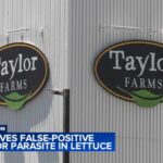 FDA receives false-positive result for parasite in lettuce amid cyclosporiasis outbreak - 6abc Philadelphia