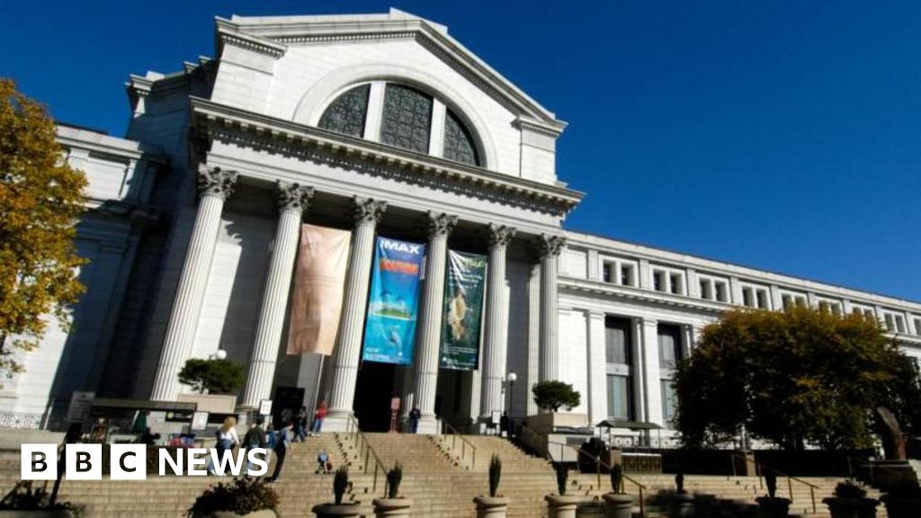 Trump orders Smithsonian to post warnings about 'inaccurate' US history - BBC