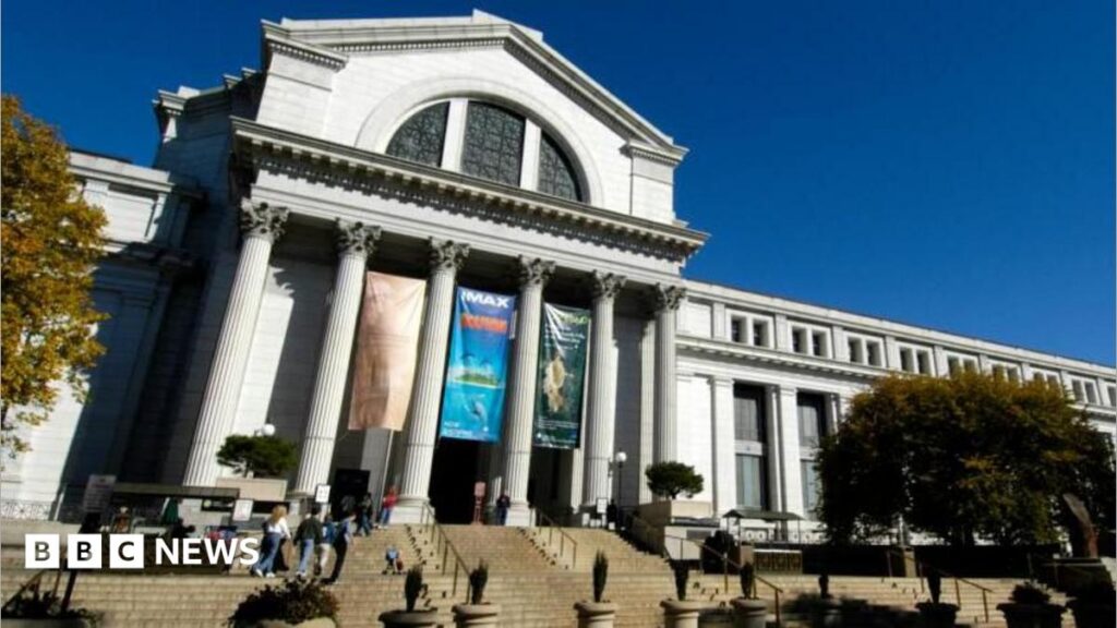 Trump orders Smithsonian to post warnings about 'inaccurate' US history - BBC