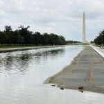 Witness in Reflecting Pool case conceded damage before canoeist touched water - NBC News