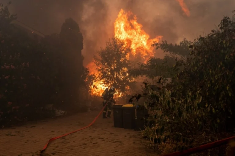 France orders evacuation of tourist spot as hundreds flee wildfires by boat - Saudi Gazette