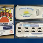 Salmonella outbreak tied to recalled eggs spreads to Georgia - News4JAX