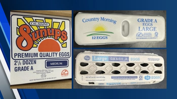 Salmonella outbreak tied to recalled eggs spreads to Georgia - News4JAX