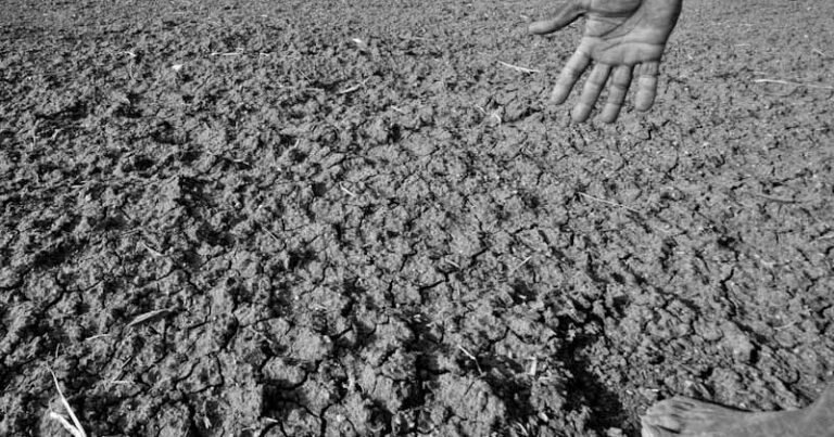 India Under Super El Niño : A Climate Emergency Meets Political Failure - CADTM