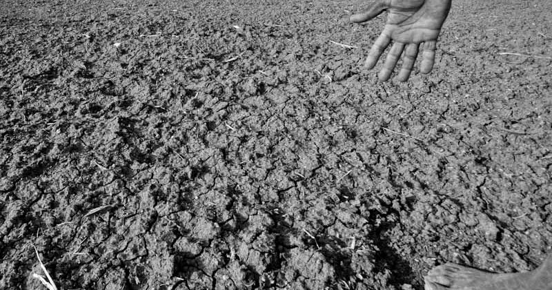 India Under Super El Niño : A Climate Emergency Meets Political Failure - CADTM