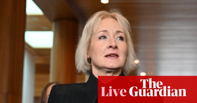 Australia news live: Aria chief calls for AI content licensing; five-year-old dead after crash in Perth - The Guardian