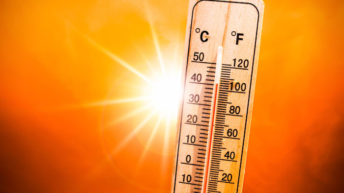 Central Florida Is Having One of Its Hottest Summers on Record. - WKMG