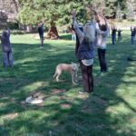 Gold Country Kiwanis to host Tai Chi and Qigong Community Fitness Day on July 25 - TheUnion.com