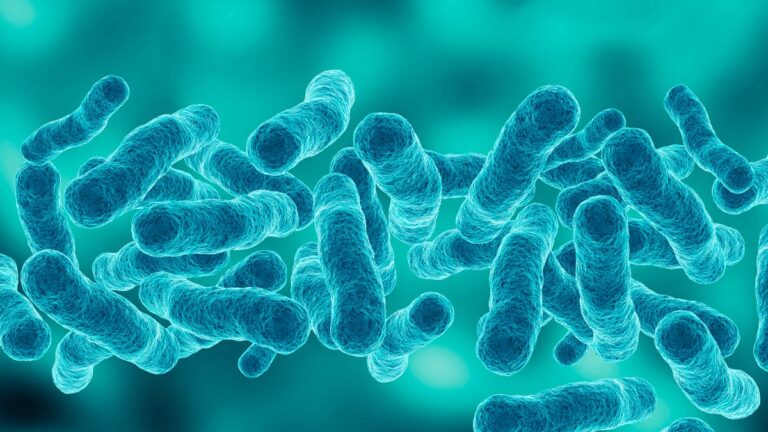 Latest on NYC's Legionnaires' disease outbreak as third person dies - USA Today