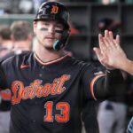 Dillon Dingler, Tigers catcher, leaves game with apparent hand injury - The Detroit News