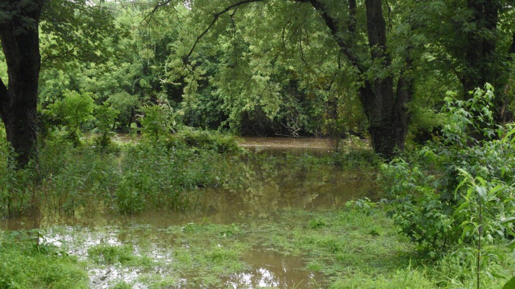 South Jersey counties under flood watch as heavy rain looms - Courier-Post