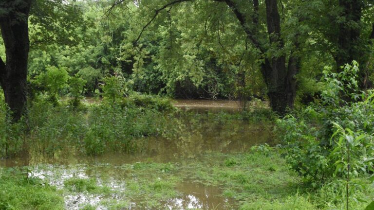 South Jersey counties under flood watch as heavy rain looms - Courier-Post