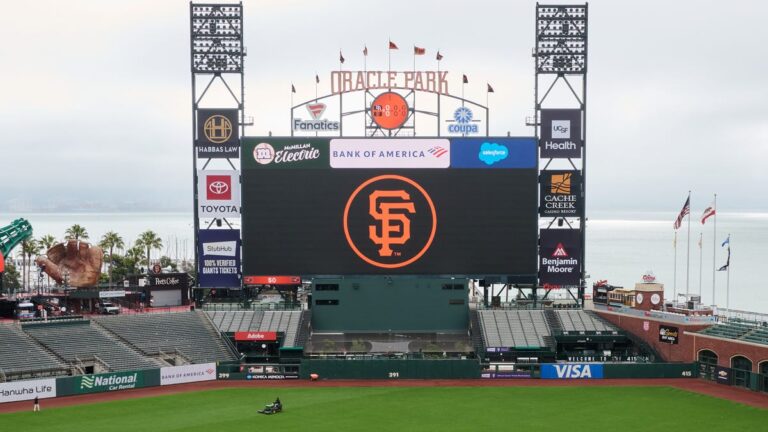 Arrests made in fan brawl after San Francisco Giants game at Oracle Park - USA Today