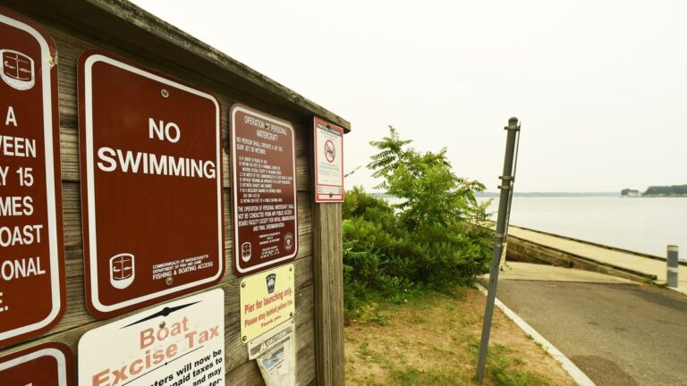 Is South Watuppa safe for swimming? What the dangers are | Exclusive - Fall River Herald News