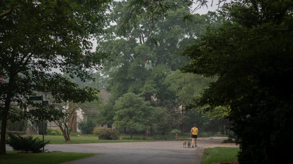 See cancellations for outdoor activities in Columbus due to wildfire smoke - The Columbus Dispatch