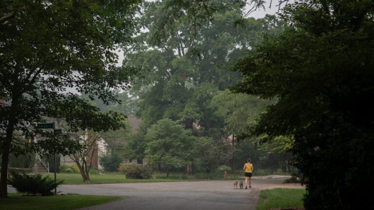 See cancellations for outdoor activities in Columbus due to wildfire smoke - The Columbus Dispatch
