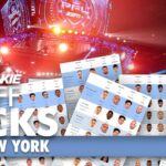 Are upsets of massive faves pending at PFL New York? - MMA Junkie