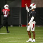 Patrick Peterson Believes Vikings Give Kyler Murray His Best Opportunity Yet - roundtable.io