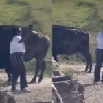 Tourist In Badlands National Park Apparently Learned Nothing From Grandpa’s Viral Bison Video - Whiskey Riff