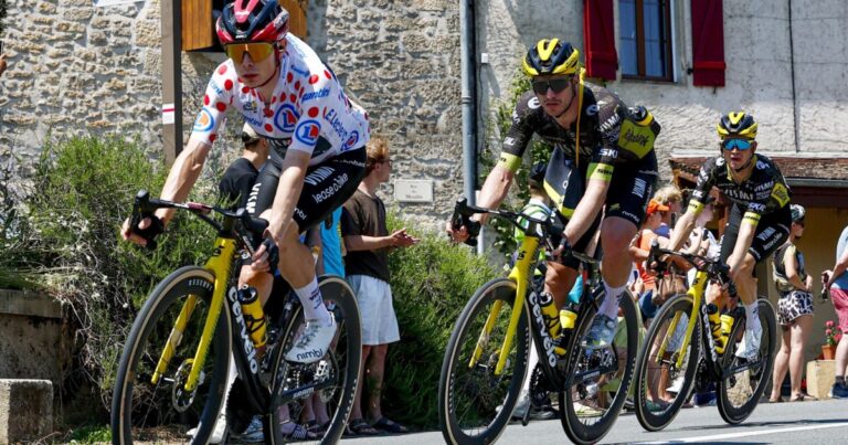 Team Visma | Lease a Bike comes strongly through eighth stage of the Tour de France. - Team Visma