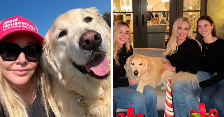 RHOC star Shannon Beador’s adorable dog Archie sadly died of brain cancer after filming - The Tab
