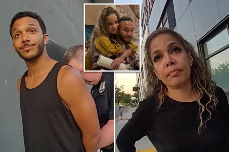 Sunny Hostin tried to talk cops out of busting her Harvard-educated son for trespassing on Metro-North tracks: ‘He has no criminal record’ - New York Post