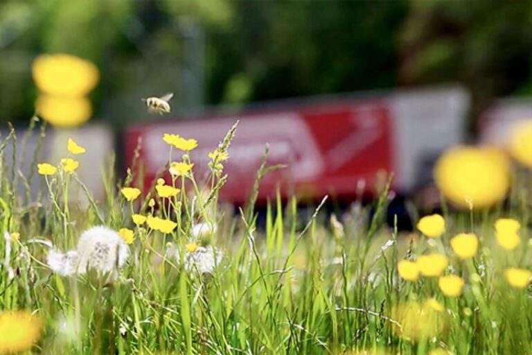 Kombiverkehr adds 24-hour emissions data - RAILMARKET.com