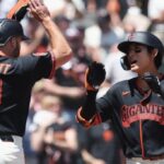 Steer's injury boosts Giants trade value for Schmitt and Ramos - CHOSUNBIZ - Chosunbiz