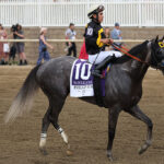 2026 Haskell Stakes results: winner, finish order - DraftKings Network