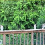 Admiral Music in the Parks finale, ‘Stuff the Bus’ with diapers, Blue Angels, more for your West Seattle Thursday - West Seattle Blog...