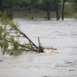 Flood threat continues Friday as rainfall moves to West Texas - Texas Standard