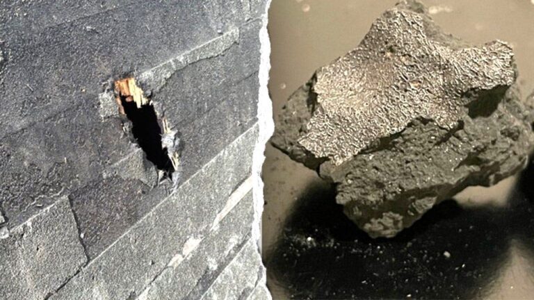 Meteorite that crashed into NJ home holds building blocks of life, scientists say - Fox News