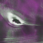 Satellite Image of Antarctic Mountain Resembles Hummingbird - SSBCrack