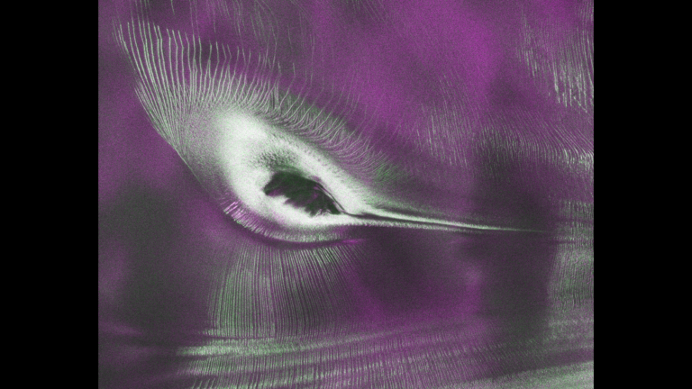 Satellite Image of Antarctic Mountain Resembles Hummingbird - SSBCrack