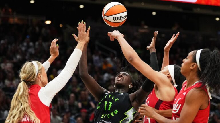 Seattle Storm co-owner Celeste Keaton suspended after interaction with fans - Sportsnet.ca