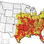 New Tick-Borne Virus Makes First Appearance in New York - The East Hampton Star