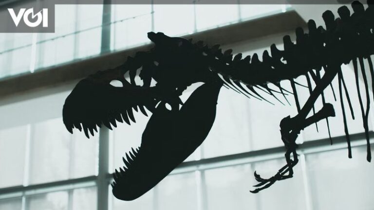 T-Rex Fossil "Gus" Breaks Auction Record, Sold for $50.1 Million - VOI.id