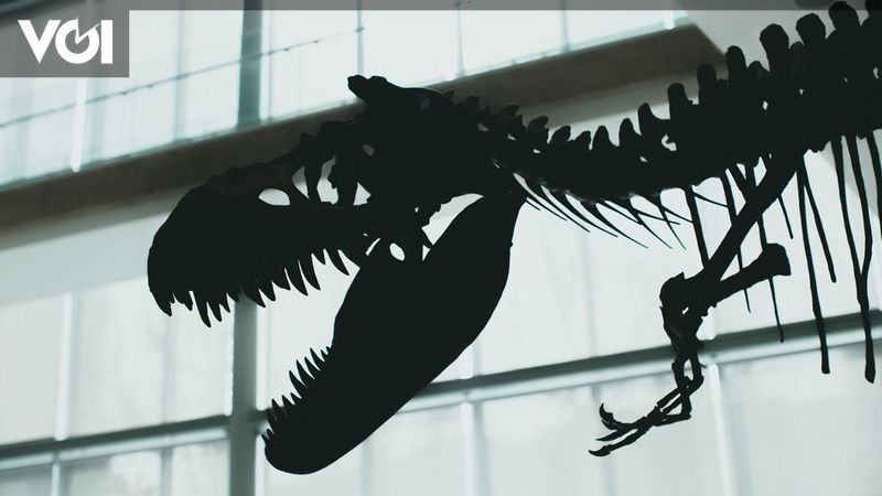 T-Rex Fossil "Gus" Breaks Auction Record, Sold for $50.1 Million - VOI.id