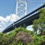 Kaitlyn McCormick details Ben Franklin Bridge Celebration closure Saturday - El-Balad.com