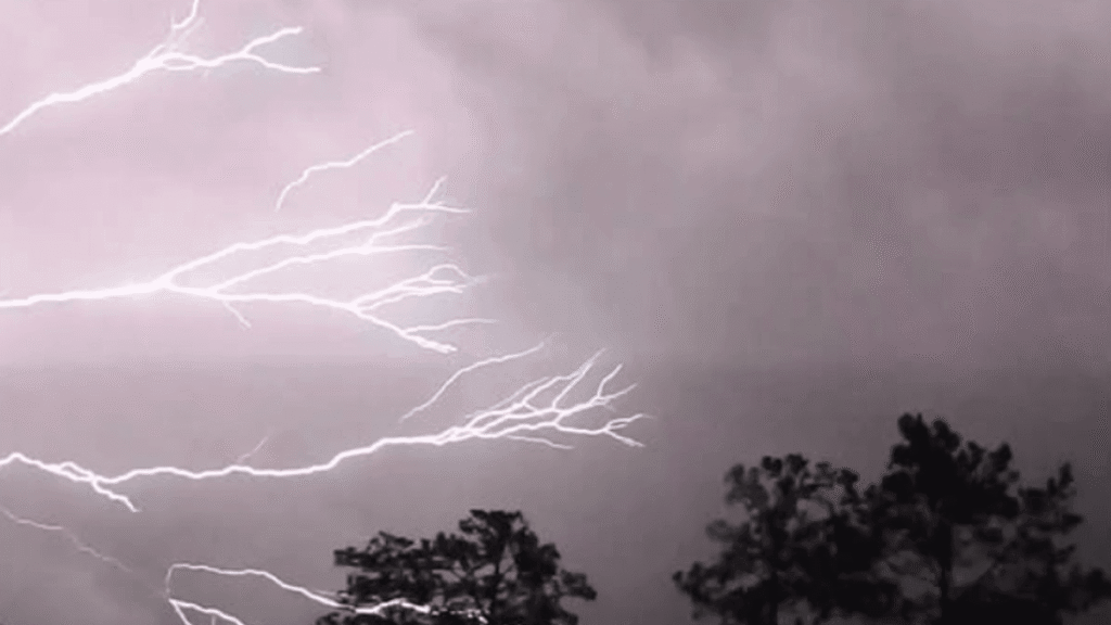 Severe thunderstorm watch issued for several West Michigan counties - WWMT