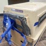 Home Depot Shoppers Find A Kennel Bursting At The Seams With 15 Lives Inside - The Dodo