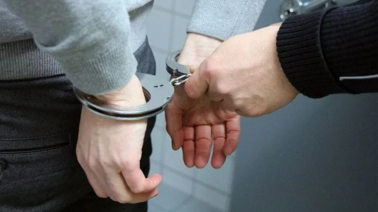 Donna Dillon Sues Knox County Over June 2025 Arrest Filmed for TV - El-Balad.com